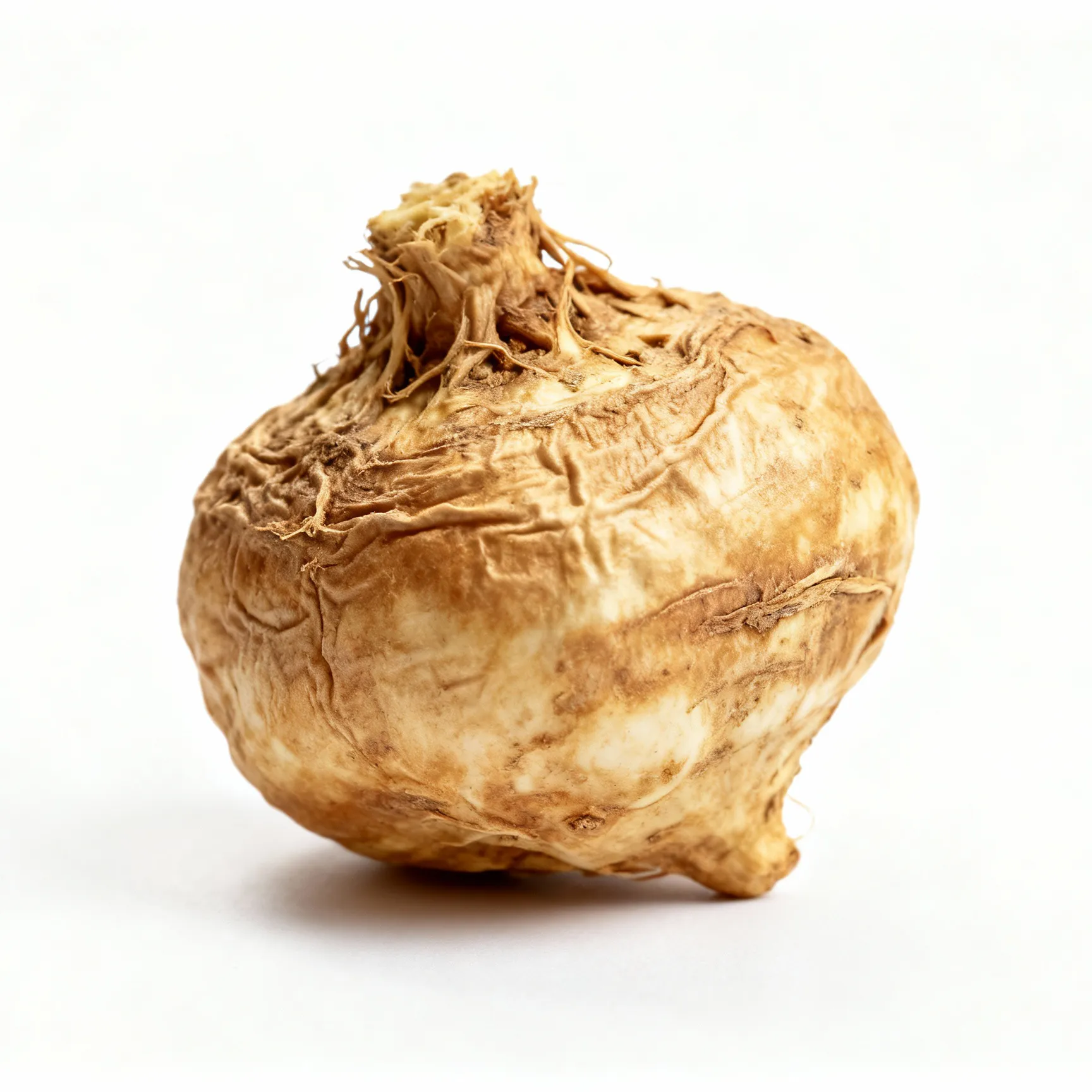 Raiz de Maca - estimulante natural da energia masculina
